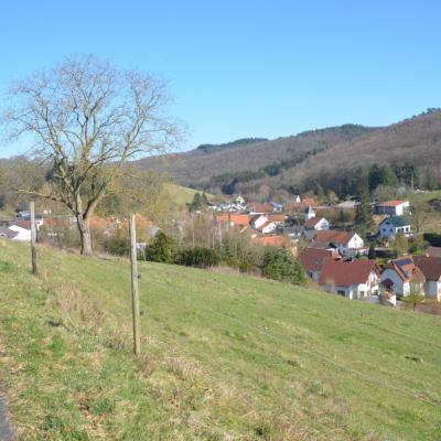 Auen und Umgebung 03